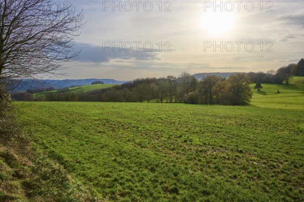 Landscape with green fields, hills and sunlight, Winterkasten, Lindenfels, Bergstrasse district,