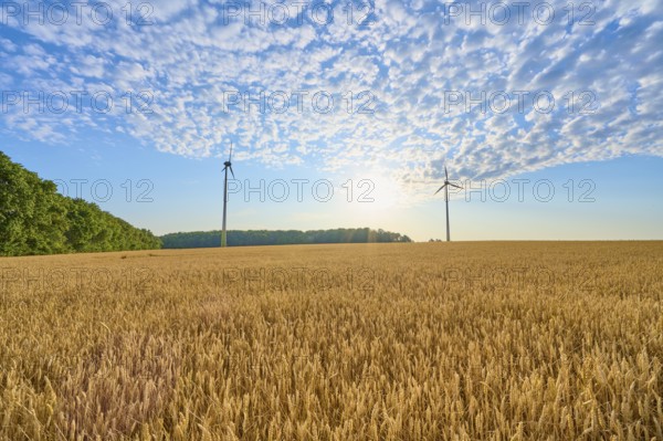 Two wind turbines in a wide field with blue sky and clouds, summer, Höhefeld, Wertheim,