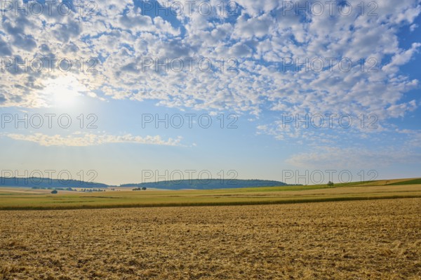 Wide fields under a blue cloudy sky, soft sunlight, summer, Höhefeld, Wertheim, Baden-Württemberg,