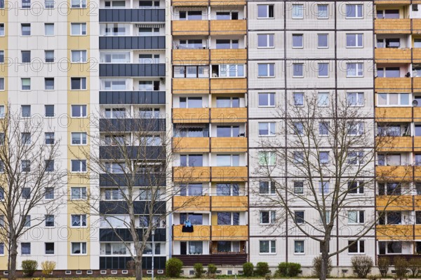 Residential building, high-rise buildings, facade, window, balcony, bare winter trees, diffuse