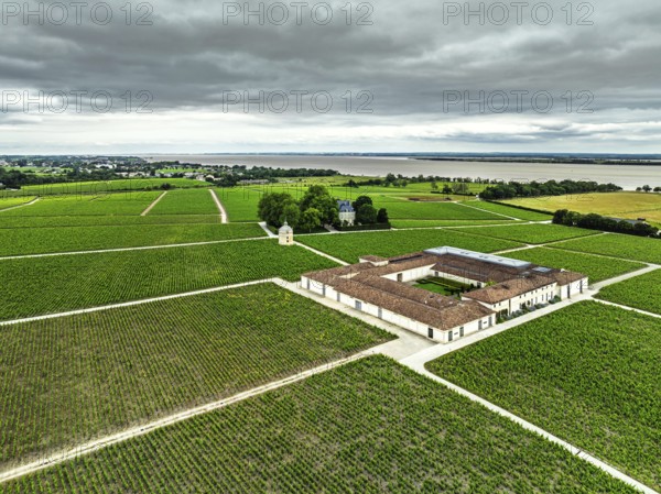 Chateau Latour Vineyard and grape fields around Pauillac from a drone, Bordeaux, Gironde,