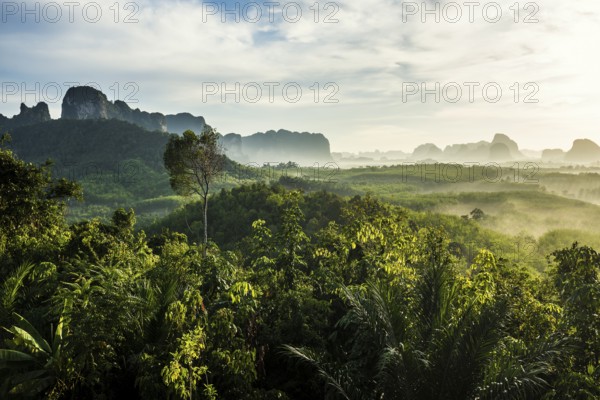 Panorama, Din Daeng Doi, sunrise, Krabi, Thailand, Asia