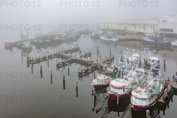 Commercial shrimp boats at the dock in the commercial area of the Biloxi Small Craft Harbor in