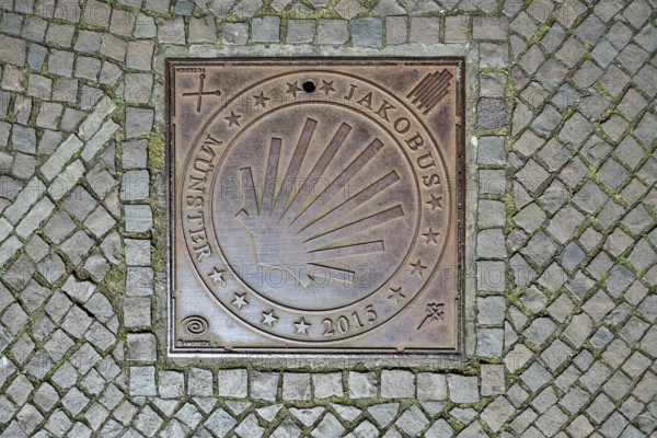 Manhole cover, St James' Way Münster 2015, pilgrims, scallop shell, cobblestones, Münster,