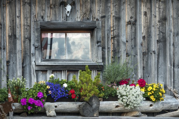 Flower decorations and windows at the Osterberg Alpe, between Tiefenbach and Riezlern, Oberallgäu,