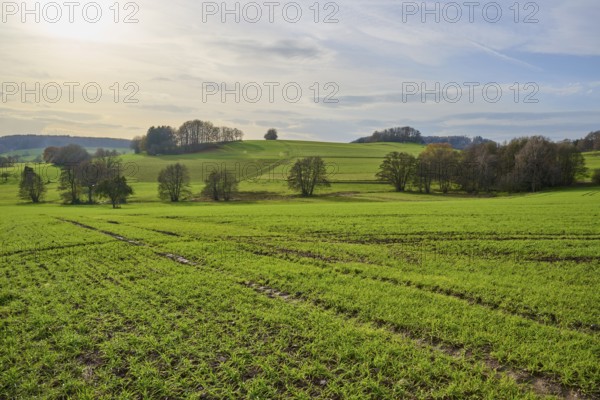 Wide green landscape with trees and hills under a cloudy sky, Winterkasten, Lindenfels, Bergstrasse