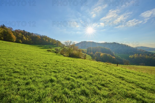Sunny hills with autumnal vegetation under a bright sky, Vöckelsbach, Mörlenbach, Bergstrasse
