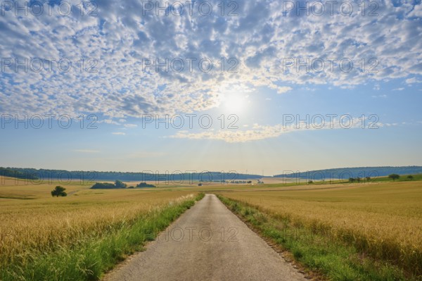 A country road leads through wide fields, the sky is cloudy and sunny, summer, Höhefeld, Wertheim,