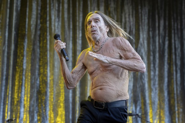 Iggy Pop, singer, actor, punk, rock, USA, live open air at the Citadel Music Festival, 19.06.2025,