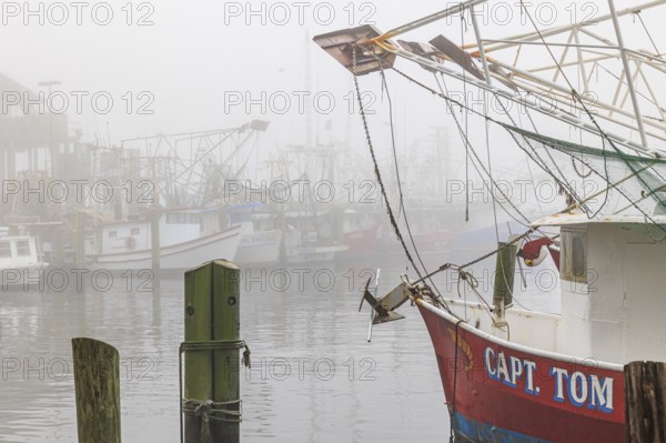 Commercial shrimp boats at the dock in the commercial area of the Biloxi Small Craft Harbor in