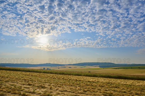 Wide fields under a slightly cloudy sky with the sun on the horizon, summer, Höhefeld, Wertheim,