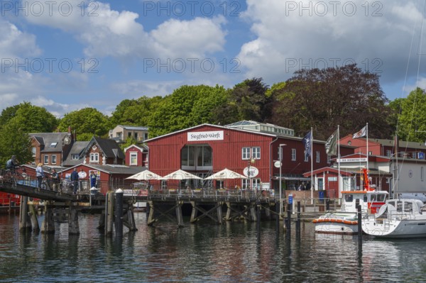 Bascule bridge and building, sea rescue, harbour, Eckernförde, Baltic Sea, Schleswig-Holstein,