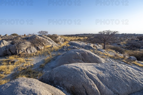 Round rocks and baobabs (Adansonia digitata) on Kubu Island with a view over the salt pan in the
