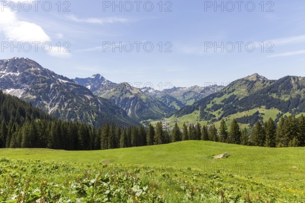 Green, expansive meadows in the Alps with gently sloping mountains in Kleinwalsertal, Austria,