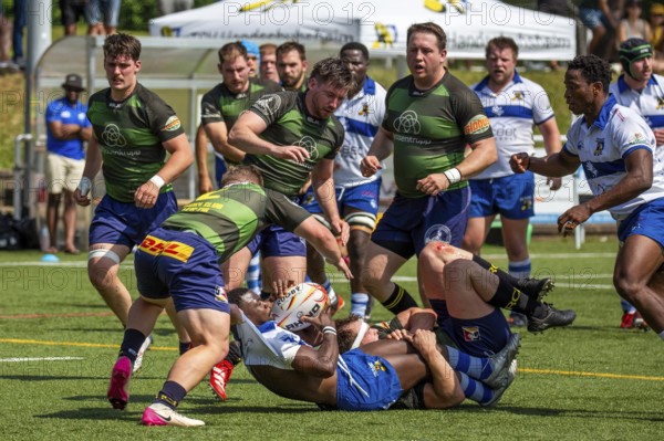 Rugby 1st Bundesliga South/West, 2024/25 season, final phase quarter-final: TSV Handschuhsheim v RC
