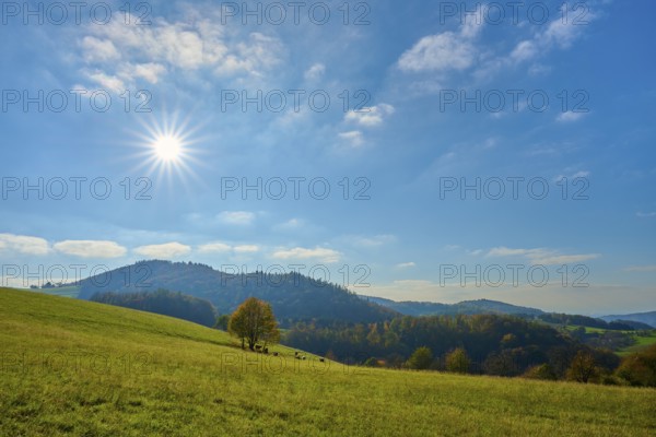 Sunny landscape with hills and trees under a clear blue sky, Vöckelsbach, Mörlenbach, Bergstrasse