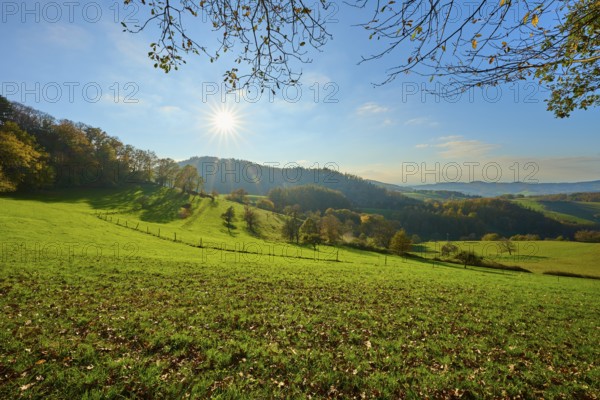 Sunlight falls on the green meadows of a hilly landscape under a clear blue sky, Vöckelsbach,