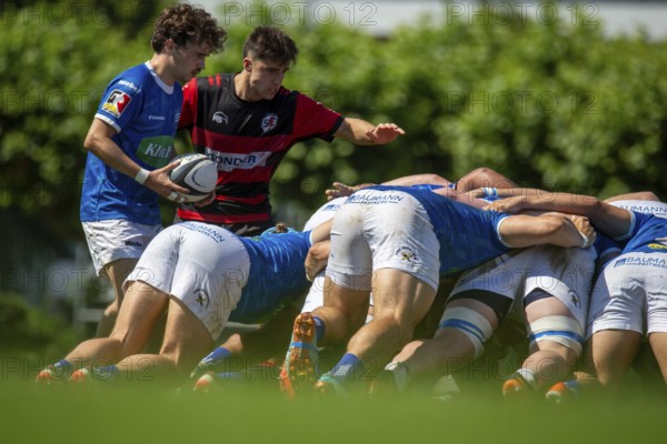 Rugby 1st Bundesliga South/West, 2024/25 season, final phase semi-final: SC Frankfurt 1880 vs SC