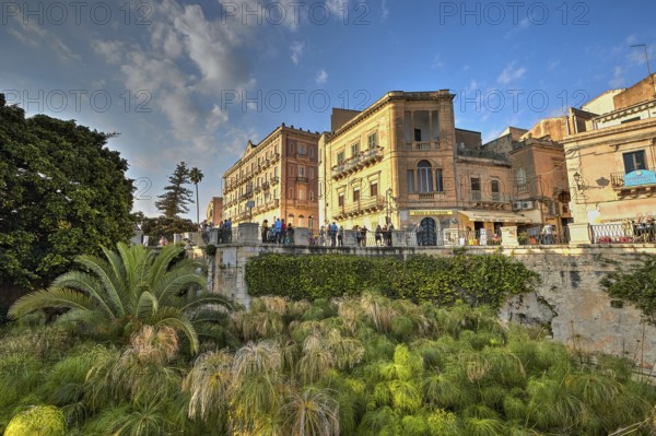 HDR, Largo Aretusa, Fonte Aretusa, Architectural scene with bridge, lush greenery and lively