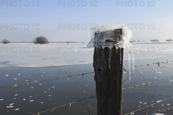 Ice cap... Ice formation (winter flood 2020, 2021), Bislicher Insel near Xanten, North