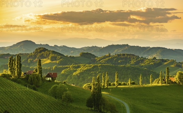 South styria vineyards landscape, near Gamlitz, Austria, Europe. Grape hills view from wine road in