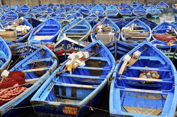 Essaouira, Morocco, North Africa, Africa, Close-up of many closely moored boats, prepared for