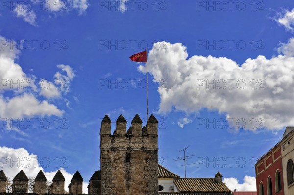 Seville, Andalusia, Spain, Europe, A medieval building with a tower and flag against a clear sky,