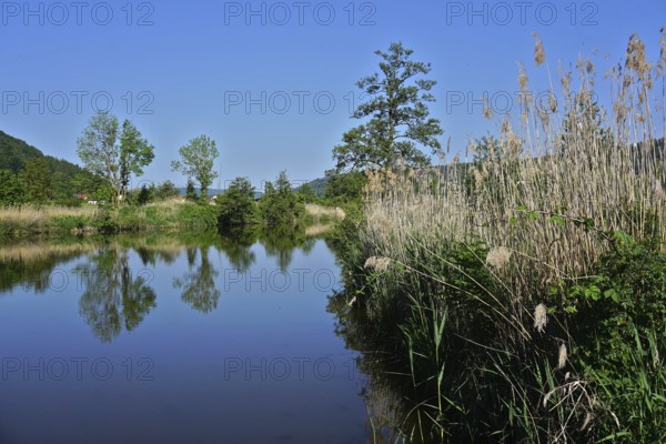 Altmühltal nature park, the Altmühl near Beilngries, Upper Bavaria, Germany, Altmühltal nature