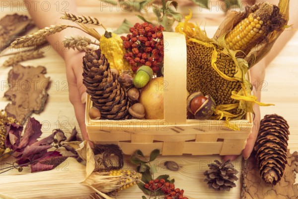 Autumn products such as corn, sunflower, apple, pumpkins in a wooden basket decorated with other