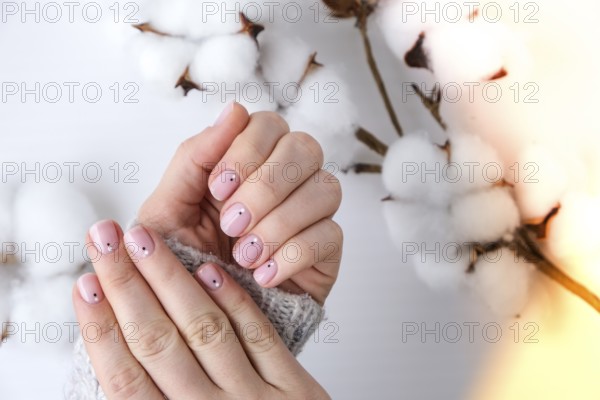 Woman hands with beautiful nude manicure holding delicate white cotton flower. Female Manicure,