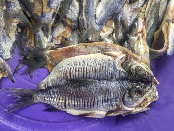 Close-up of dried fishes, more in background, at purple plate at a market, Santa Cruz de Mompox,