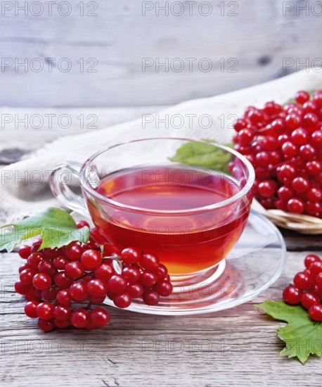 Tea with viburnum in a glass cup, wicker plate with berries, green leaves and burlap on wooden