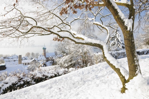 A snowy village with houses and a church tower of St. Nicholas, winter atmosphere, peaceful,