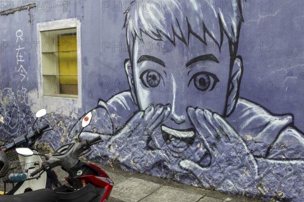 Painted wall, street art, street art, old town of George Town, Georgetown, Penang Island, Malaysia,