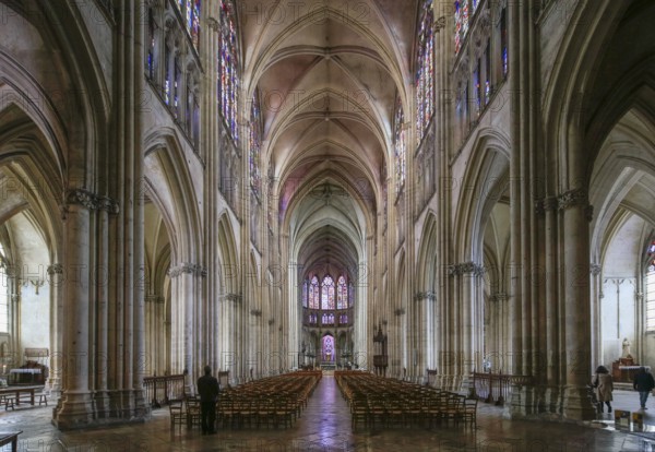 Saint-Pierre-et-Saint-Paul de Troyes Gothic Cathedral, Troyes, Aube department, Grand Est region,