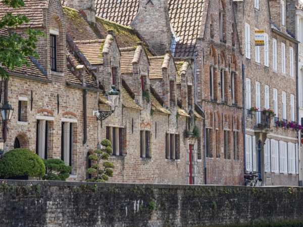 Row of cosy-looking, brick-clad historic buildings on a canal bank with lush greenery, Bruges,