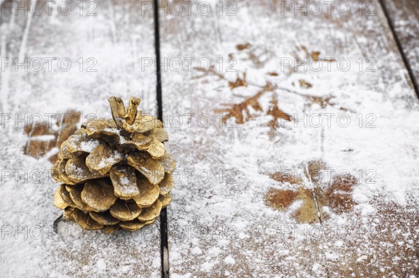 Cedar tower painted in gold colour on a snowy wooden background