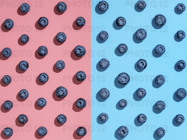 Blueberry pattern. Minimalistic concept. Top view or flat lay. Blueberries staggered on two colors