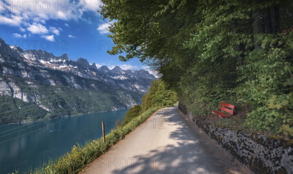 Alley near Walensee lakeshore, with a view to the snow-capped peaks of the Swiss Alps mountains in