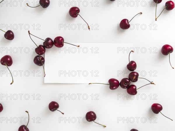 Creative layout with fresh ripe berries. Cherry isolated on white background with white rectangle