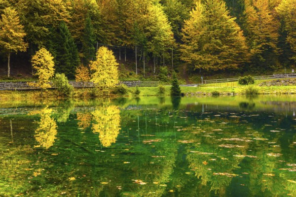 The quiet lake Lago de Fusine. Concept of cultural and ecological tourism. High water after a rain.