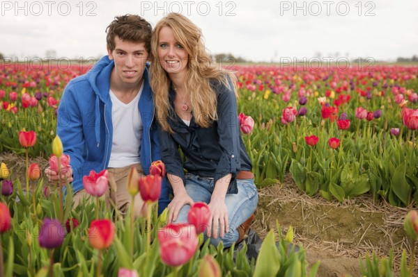 Couple Dutch tourists are plucking tulips in the flower fields