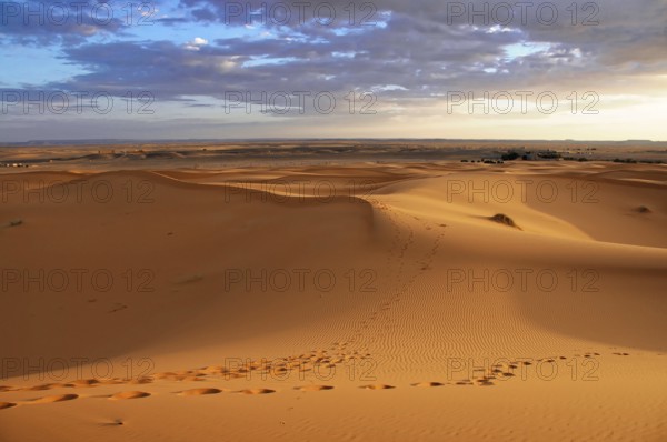 Endless sand dune landscape with footprints in the soft desert sand, sand dunes of Erg Chebbi,