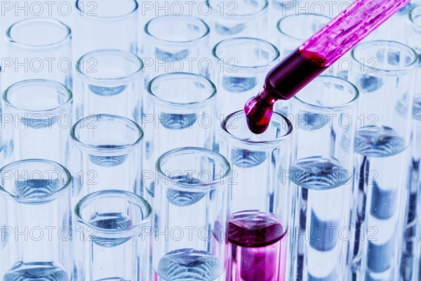 Many test tubes during an experiment in a university research laboratory. Symbolic photo for