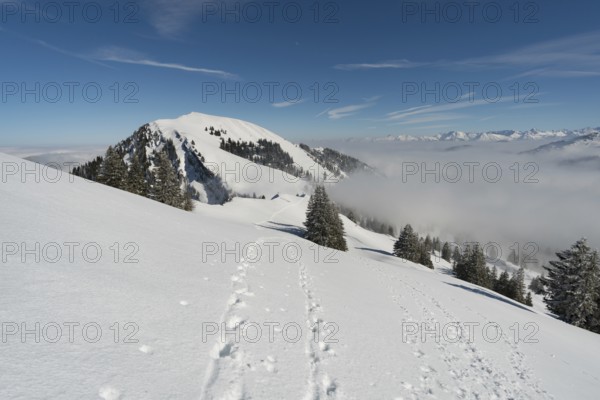 Fantastic snowshoe tour on the Hochgrat at the Nagelfluhkette in Allgau, Bavaria