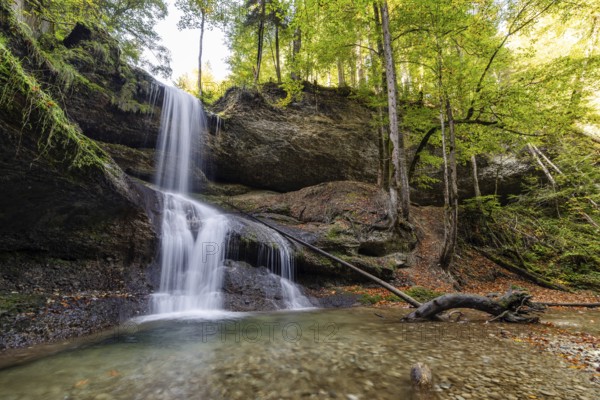 A waterfall in a dense forest with tall trees and moss-covered rocks that create a peaceful scene,