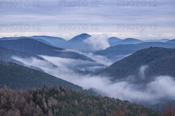 Landscape shot with cloudy sky and fog in the valley. View from a rock in the middle of forest and