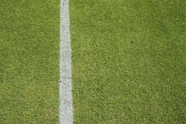 White line on the grass at soccer playing field in Lubin, Poland, Europe
