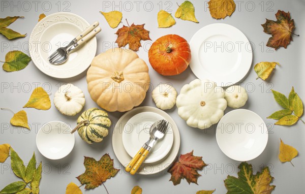 Thanksgiving festive table composition with different colourful pumpkins, autumn leaves, empty