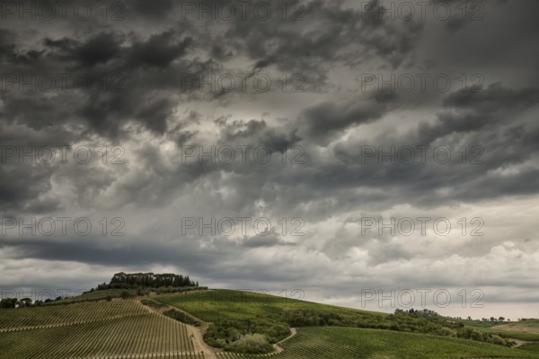 Vineyards in Tuscany under a dramatic cloudy sky